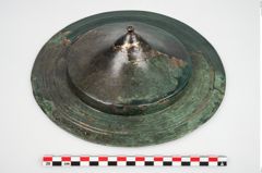 Foto von Bronzephalere (NHMW-PRAE-025835)